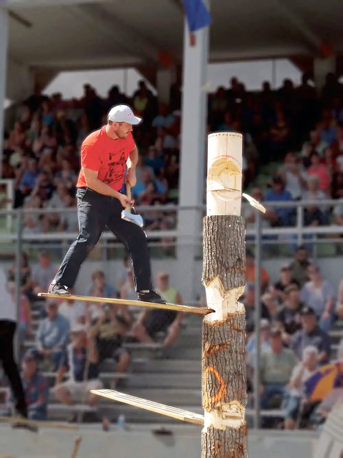 NYS Woodsmen's Field Day