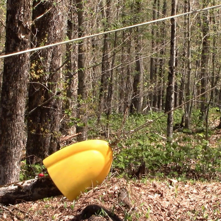 The Forestry Solution
