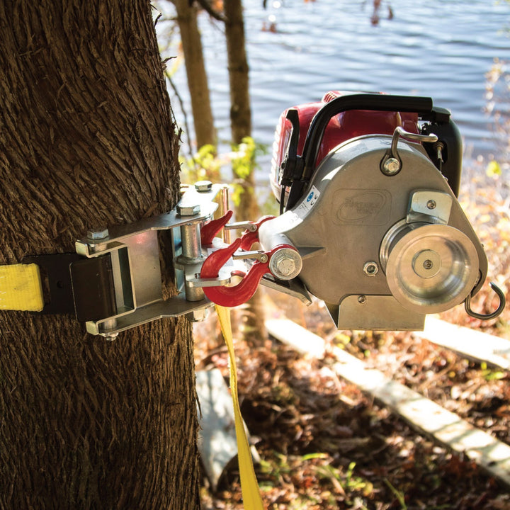Système d'ancrage pour arbre