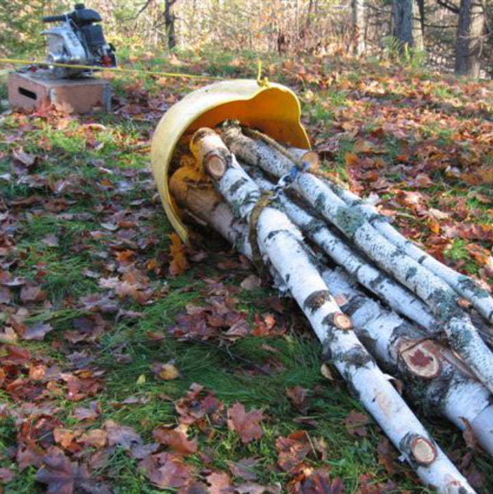 The Forestry Solution